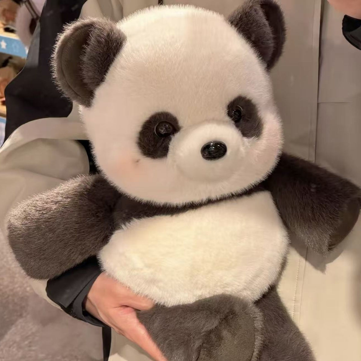 Calvene Plush Collection